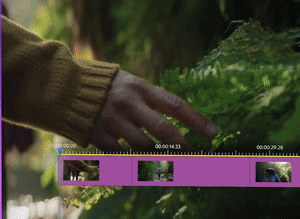 Premiere Pro Video Editing