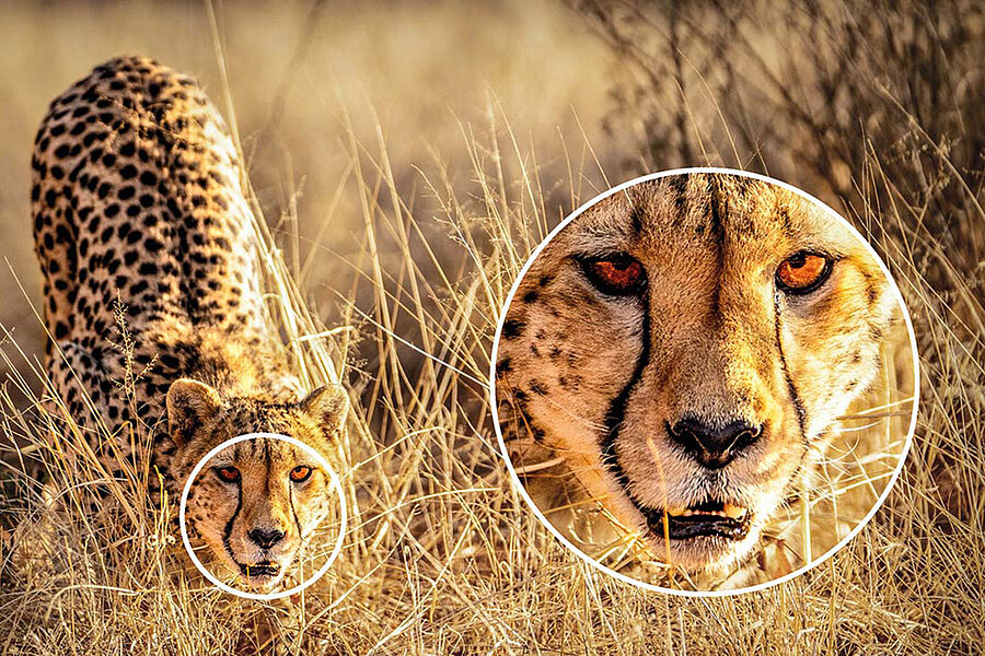 CS2740 ColorEdge Displayqualität