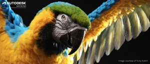 Maya 2022.2 jetzt erhältlich