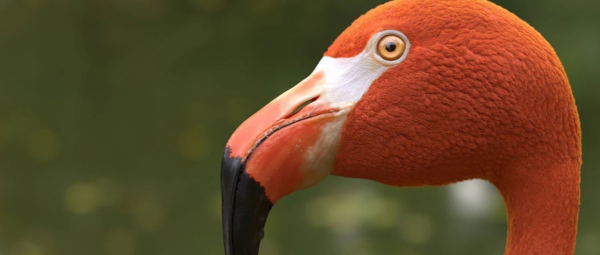 Nahtloses Streaming von Animationsdaten von Maya zu Unreal